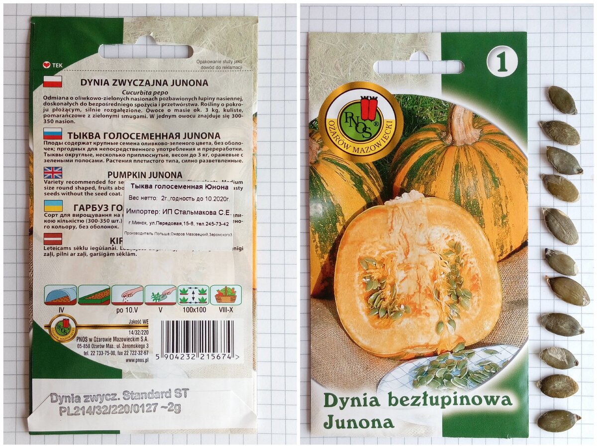 Семена голосемянной тыквы Юнона