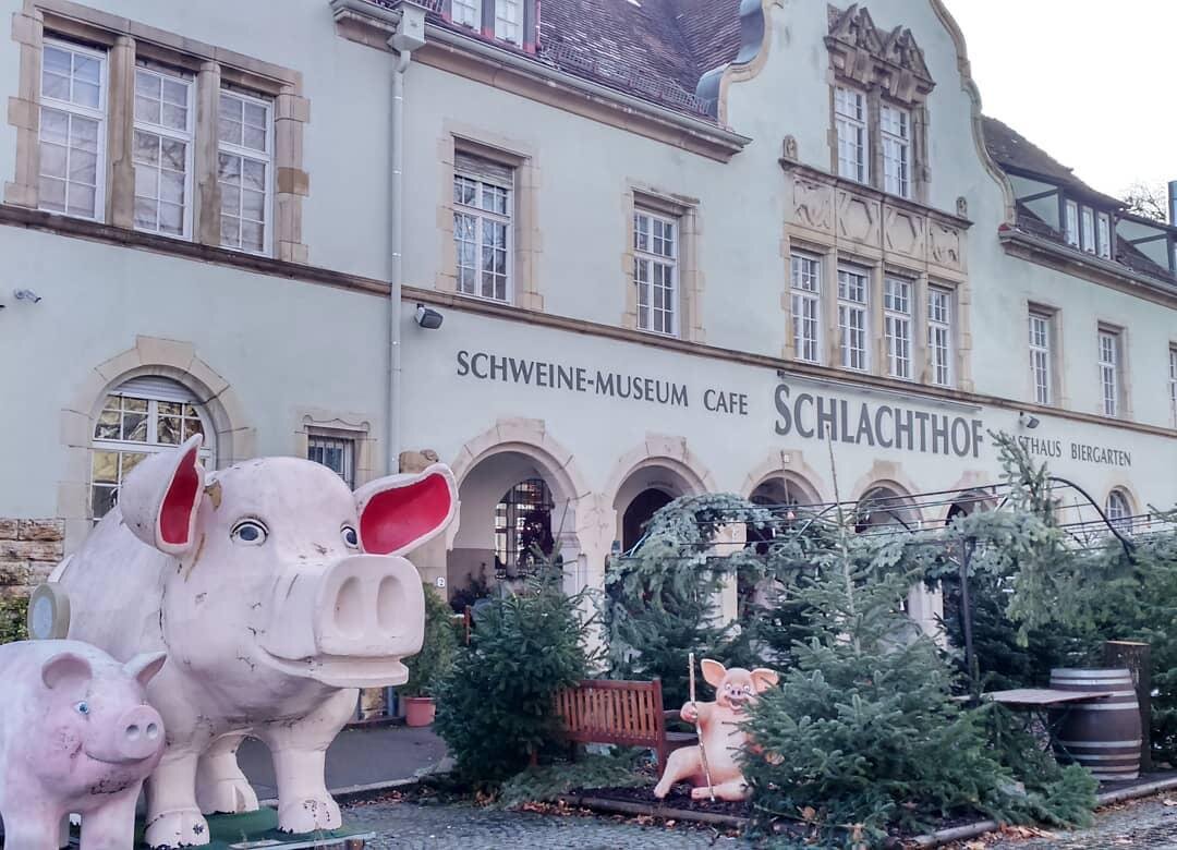 Фото by Natasha Pushkina https://www.instagram.com/p/BdgCA1HnMnd/