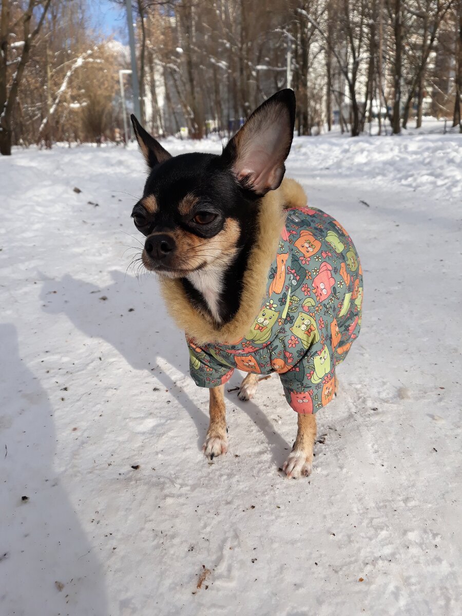 вот моя красотка 