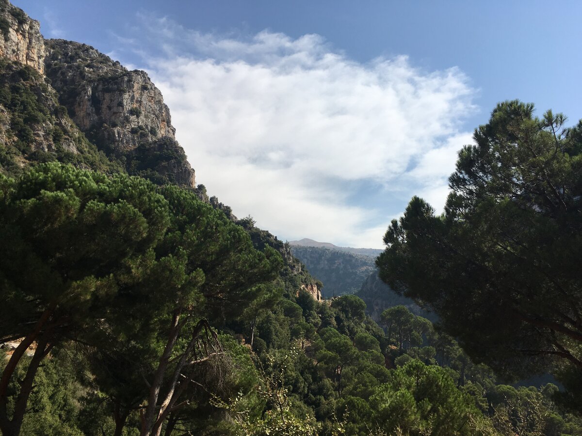 По дороге к монастырю