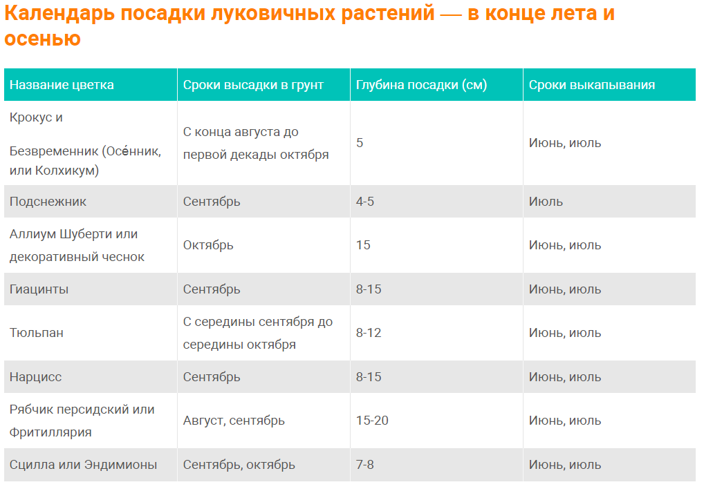 Сроки посева цветов на рассаду. Норма посадки луковичных на 1 м2. Сроки высадки луковичных таблица. Таблица глубины посадки луковичных. Календарь посадки луковичных цветов.