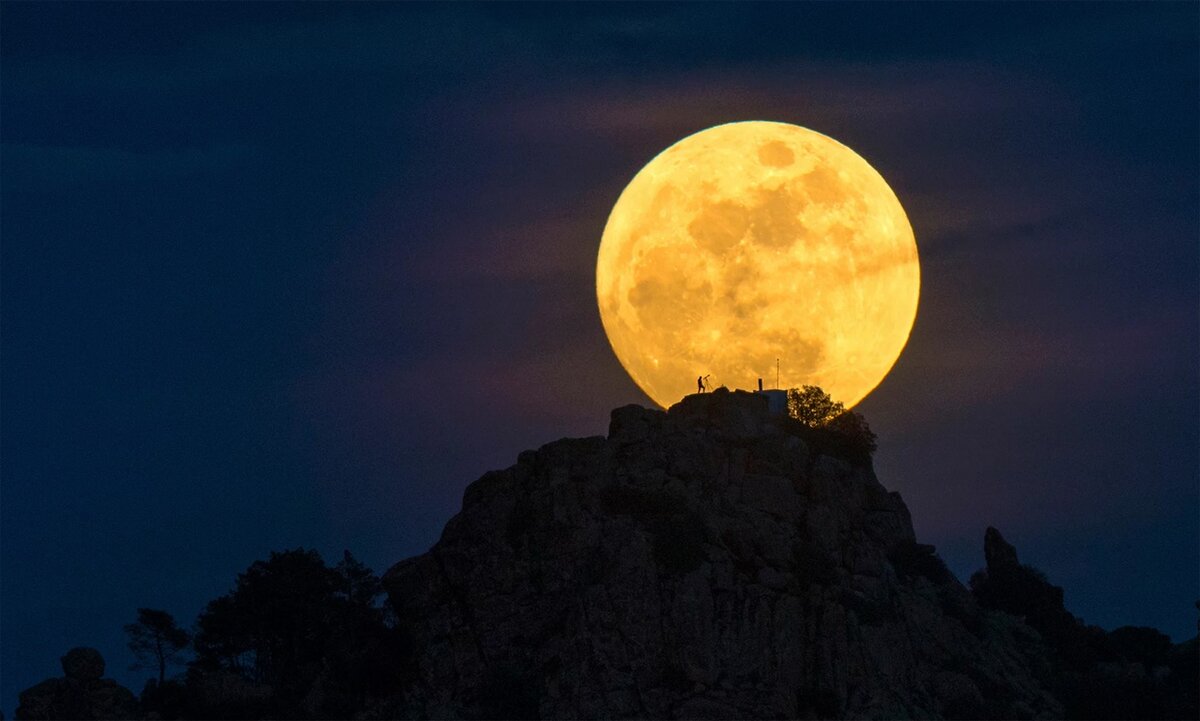 Фото взято из открытого источника