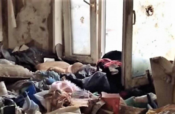 Где органы опеки? 