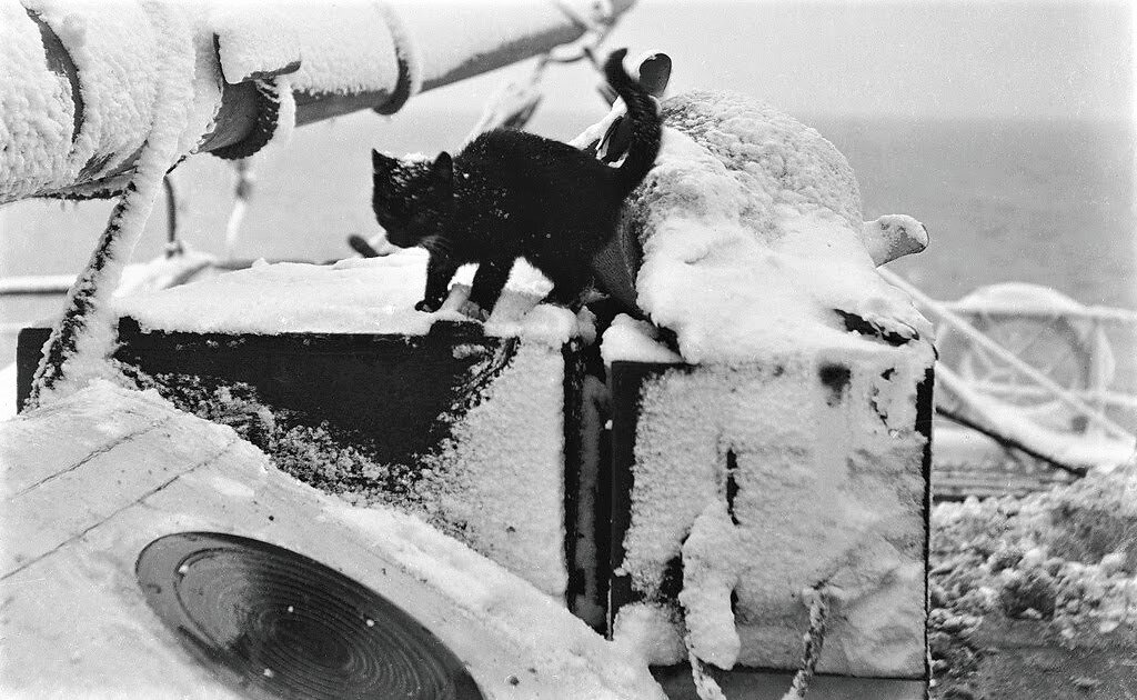 коте подводная лодка