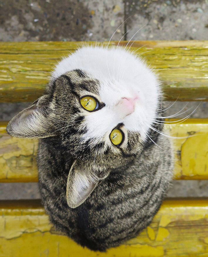 Photo by Federica Diliberto on Unsplash