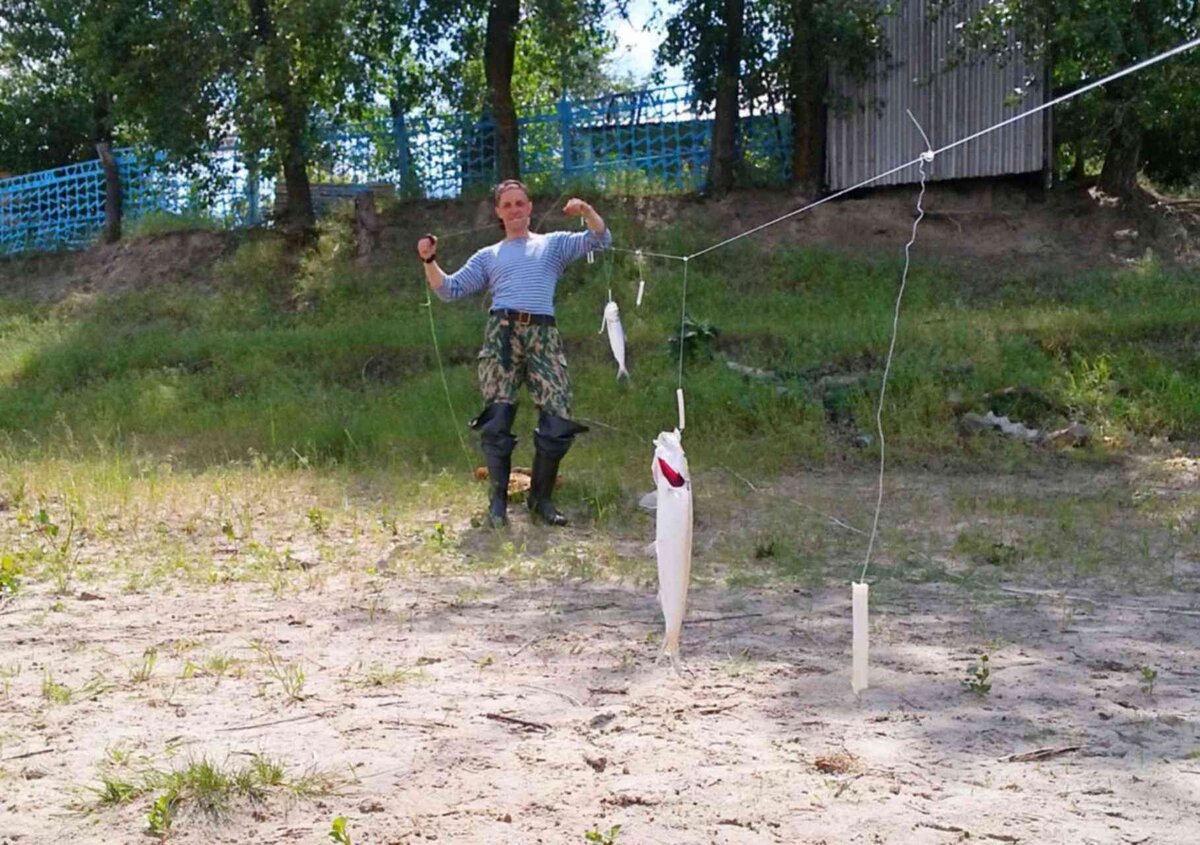 Изображение из yandex.ru