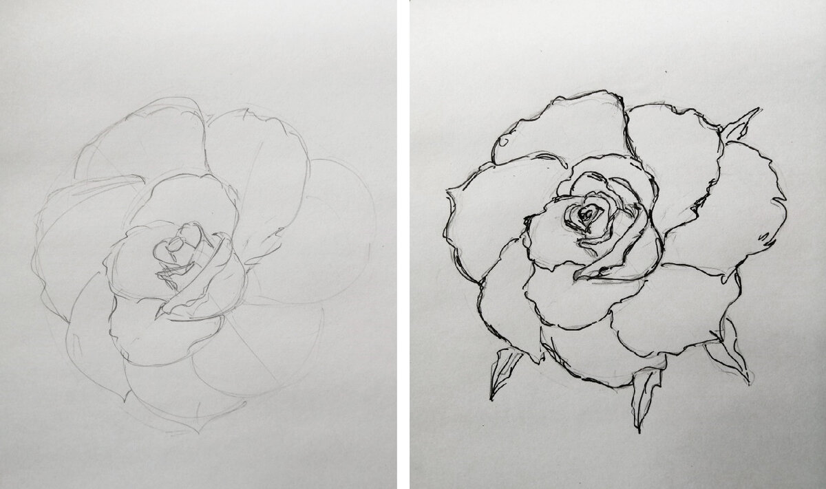 Начало рисования розы. Фото автора