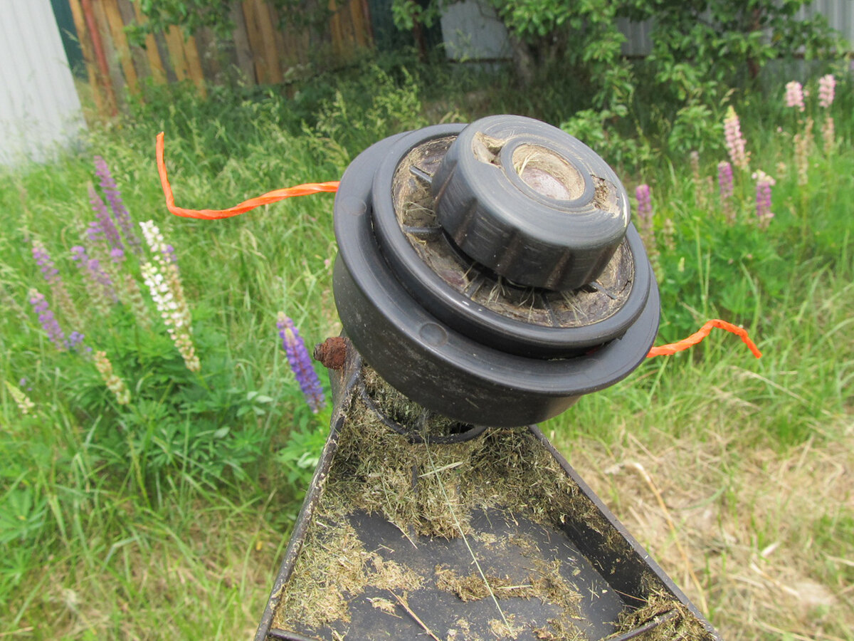 Катушка и леска триммера.