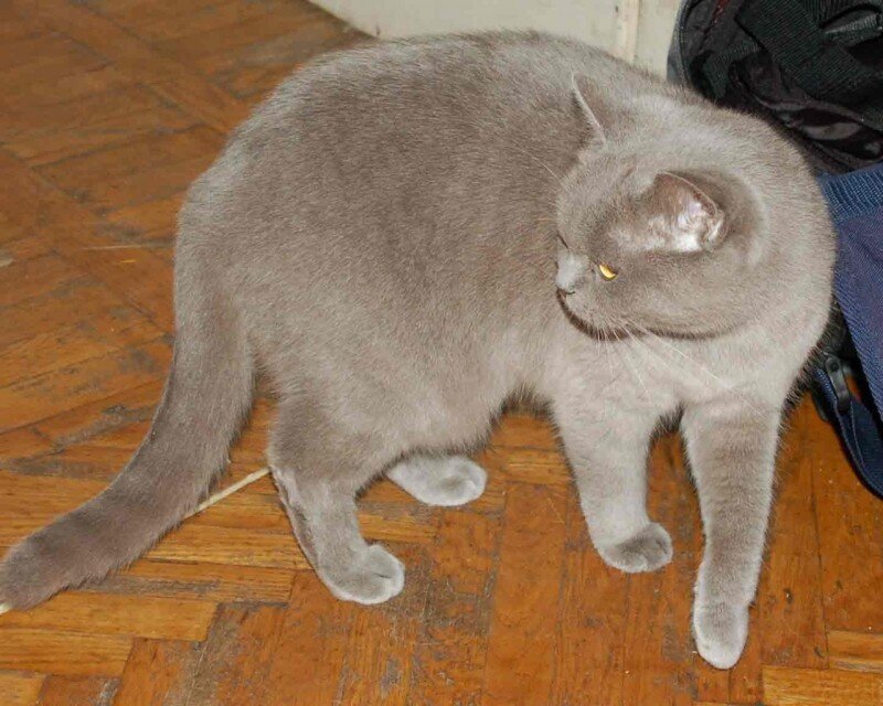 Соня - хозяйка Логова
