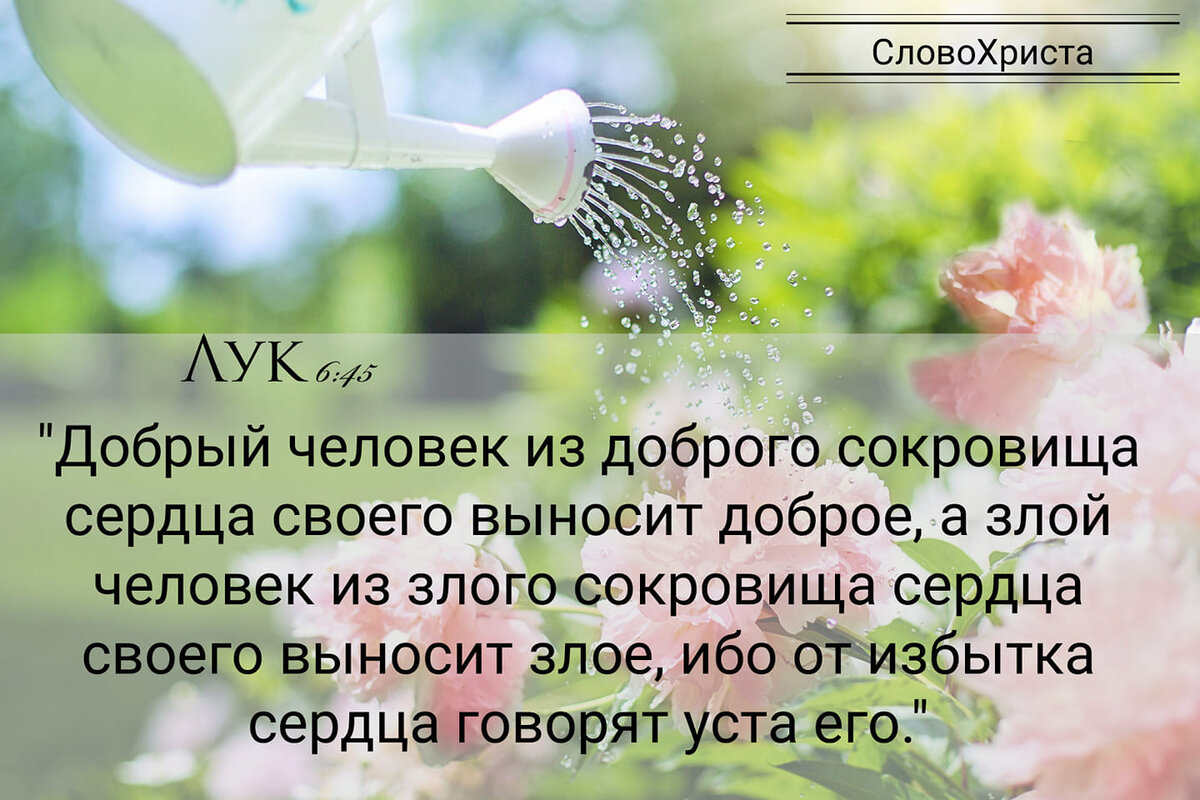 От избытка сердца говорят уста