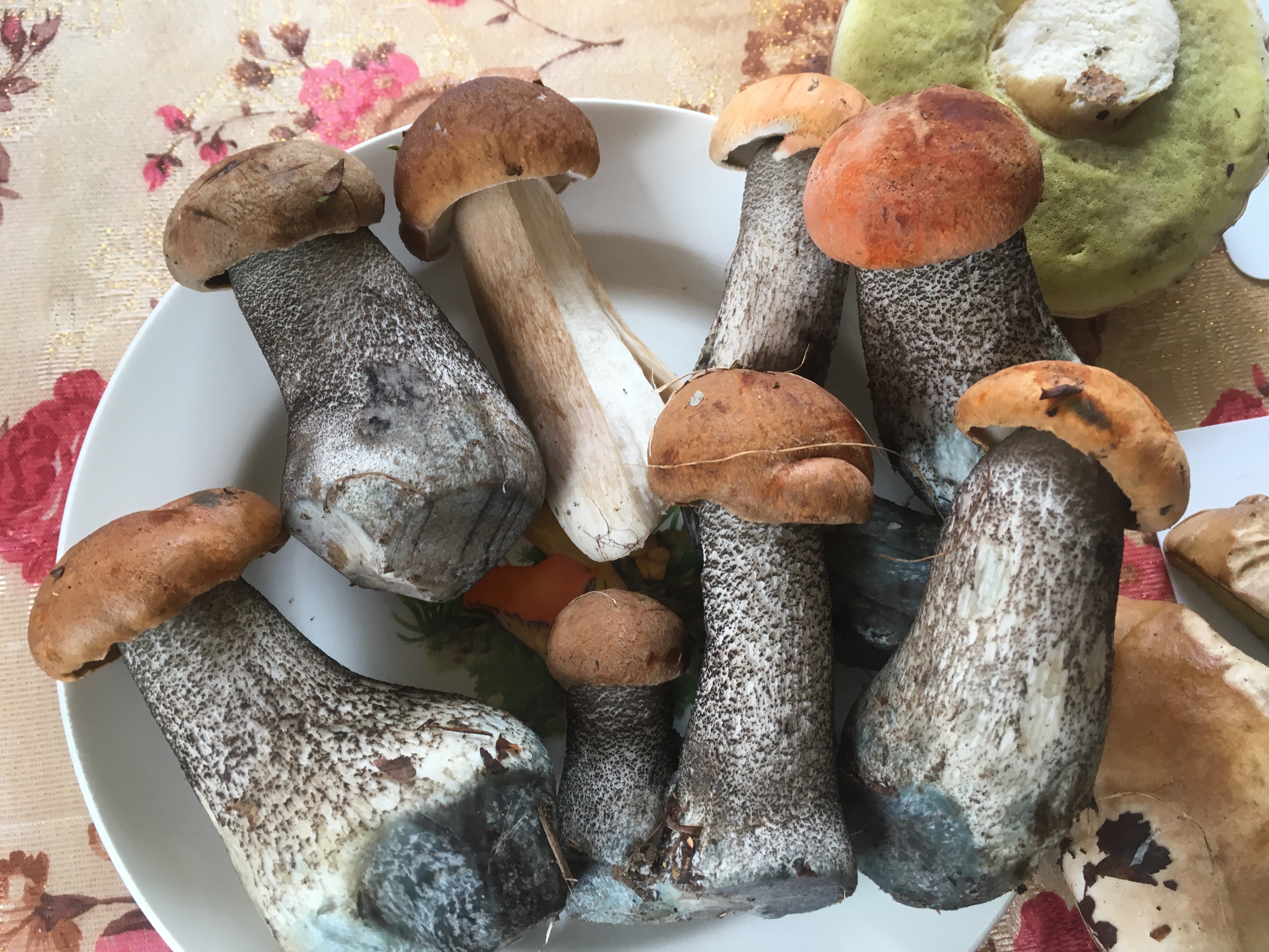 грибы на тарелке