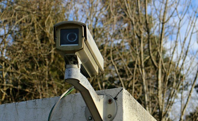  
Фото: pxhere.com