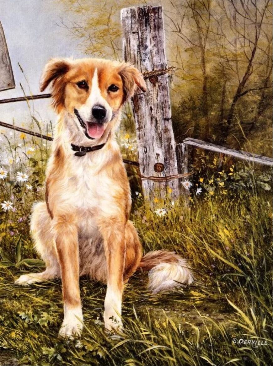 Художник Shirley Deaville.