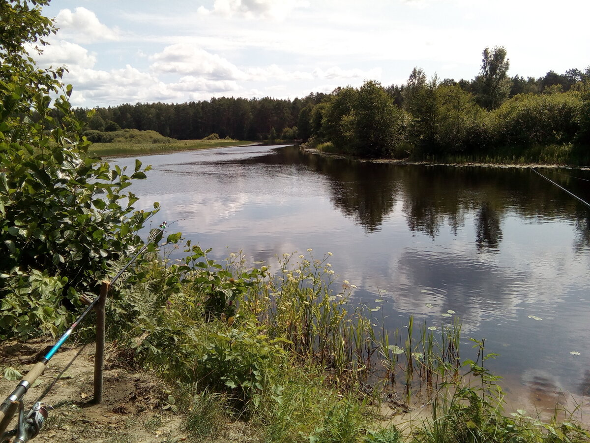 Моё любимое рыбацкое место