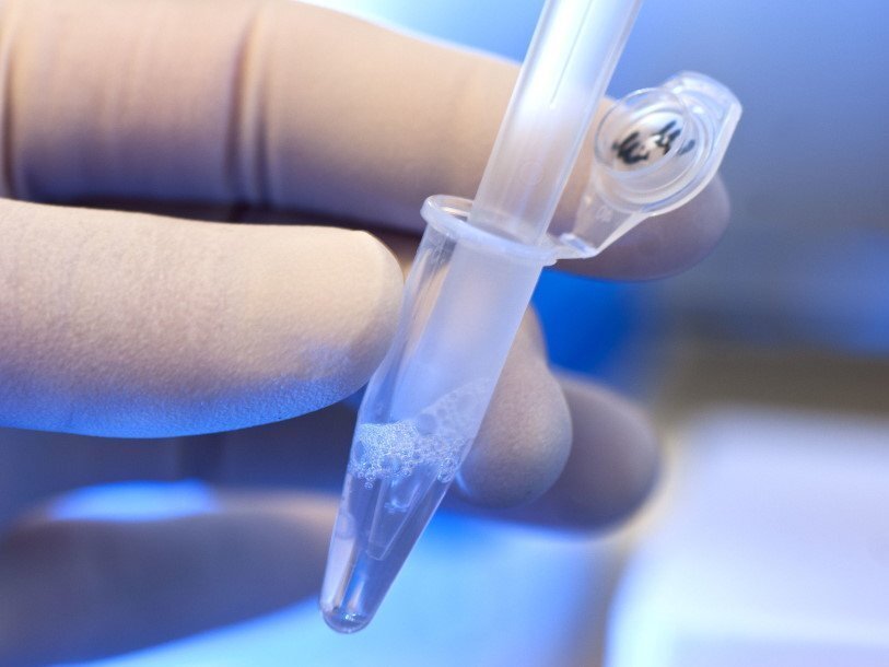  Образец ДНК. SNRE/Flickr