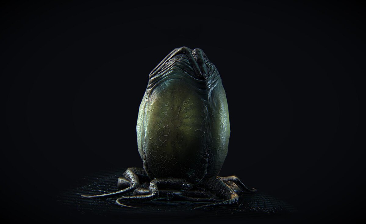 Этап 1: Яйцо 