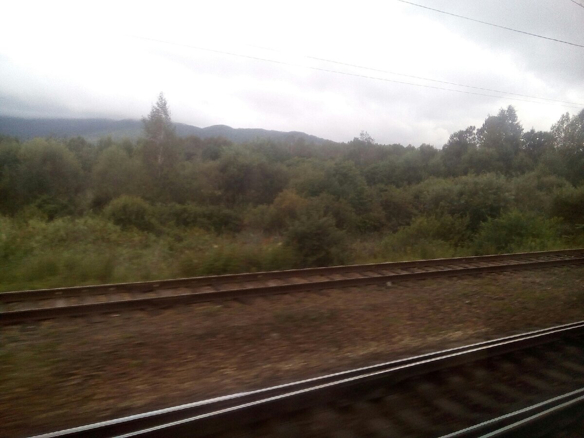 Красота за окном. Фото автора. 