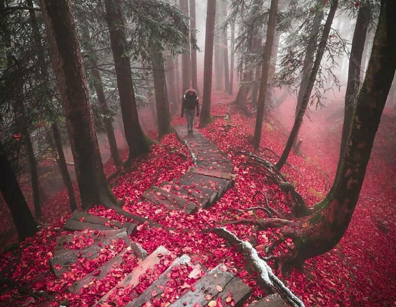 Источник: www.instagram.com