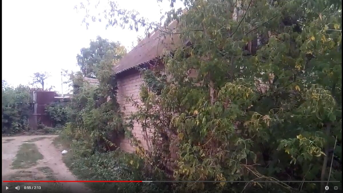 Это еще один заброшенный участок рядом с моим, фото с фрагмента видео с моего канала на Ютуб