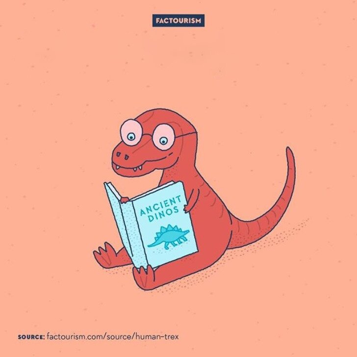 На шкале времени тираннозавры ближе к человеку, чем к стегозаврам
 
Стегозавры и их сородичи (аллозавры, апатозавры и др.) жили примерно 155–145 млн лет назад. А тираннозавры существовали лишь около 67 млн лет назад. Получается, примерно 83 млн лет отделили стегозавров от тираннозавров. А текущая эра геологической истории Земли — кайнозойская, которая продолжается до сих пор, — началась 66 млн лет назад и ознаменовалась появлением человека разумного.