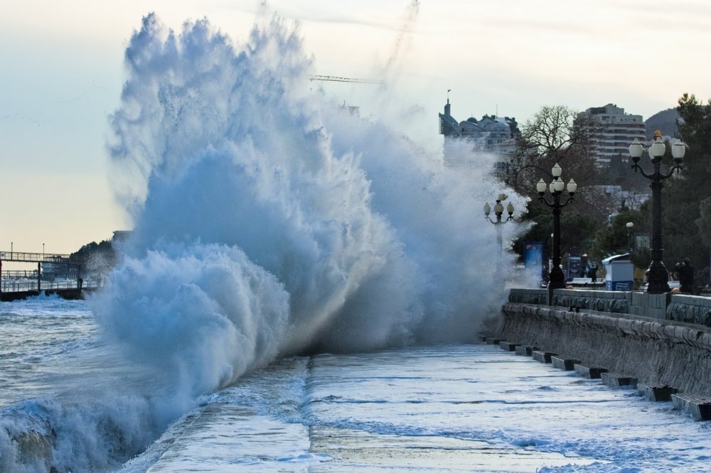 Фото с сайта http://www.akcent.info 
