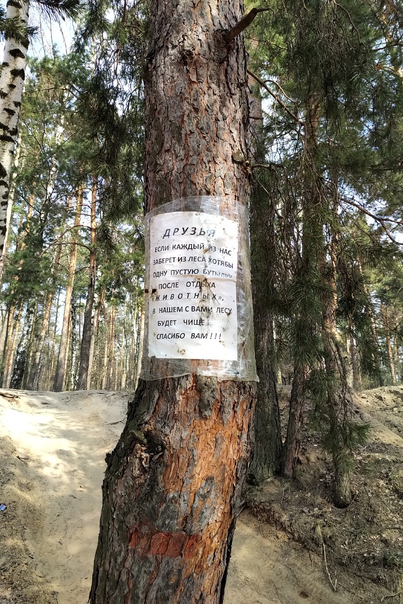 Вот такие призывы у нас висят в зоне отдыха...