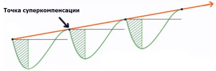 Суперкомпенсация. График. Источник фото: yandex.ru/images