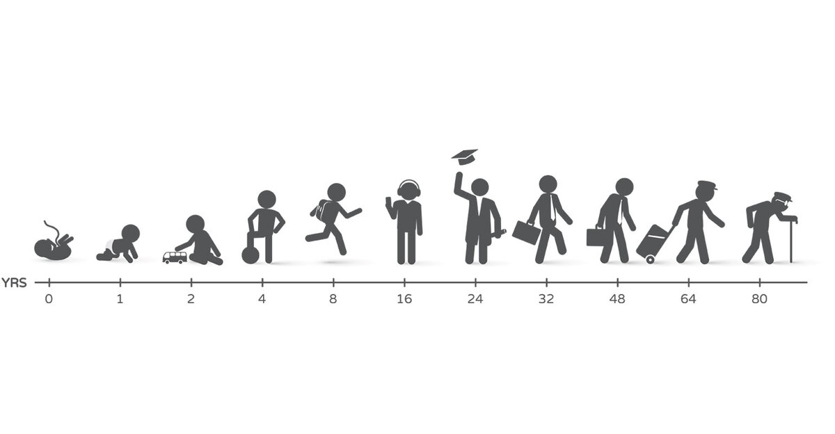 Жизненный цикл человека
