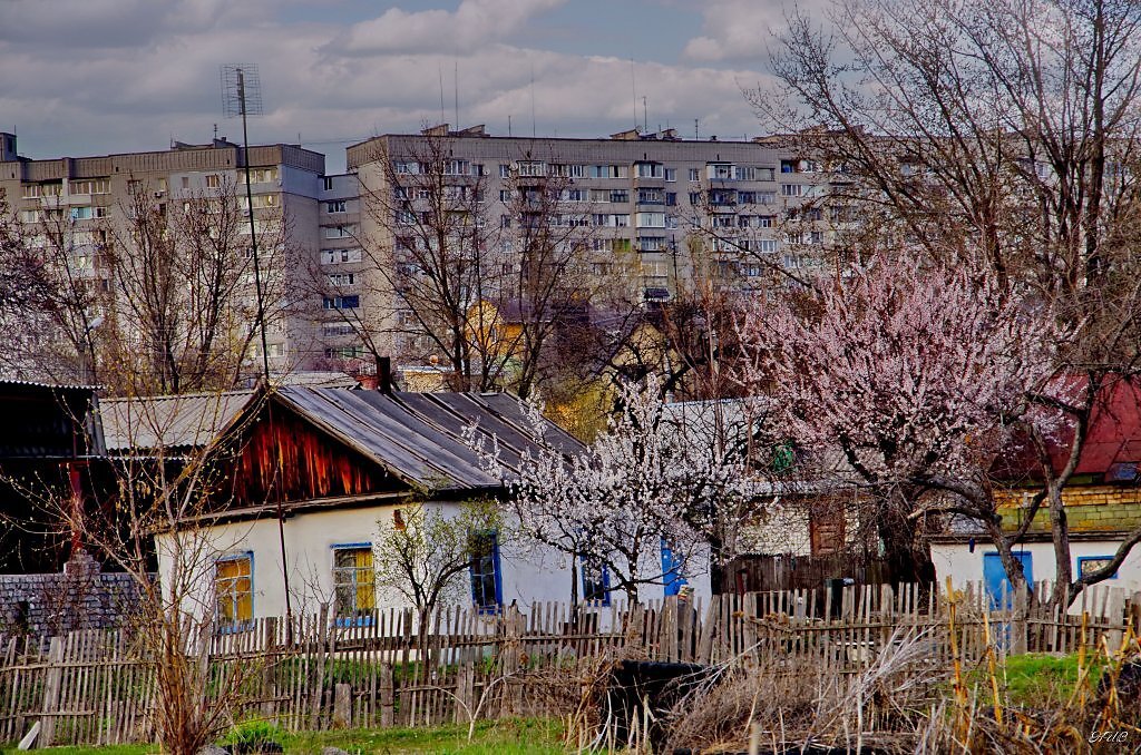 Проект жизнь в городе и в деревне