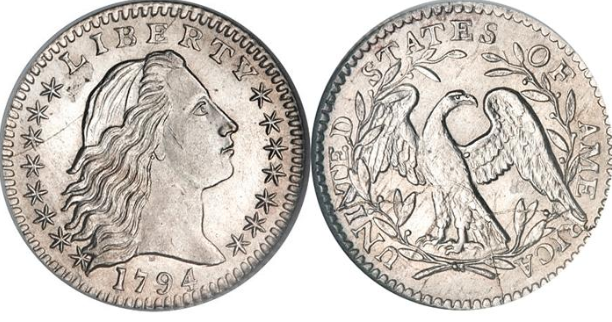 Доллар "Распущенные волосы"