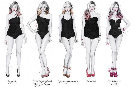 Разновидности телосложения по типам фигур.