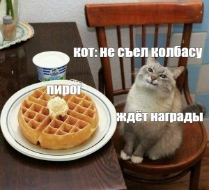 Колбасу не съел, а сосиски где?