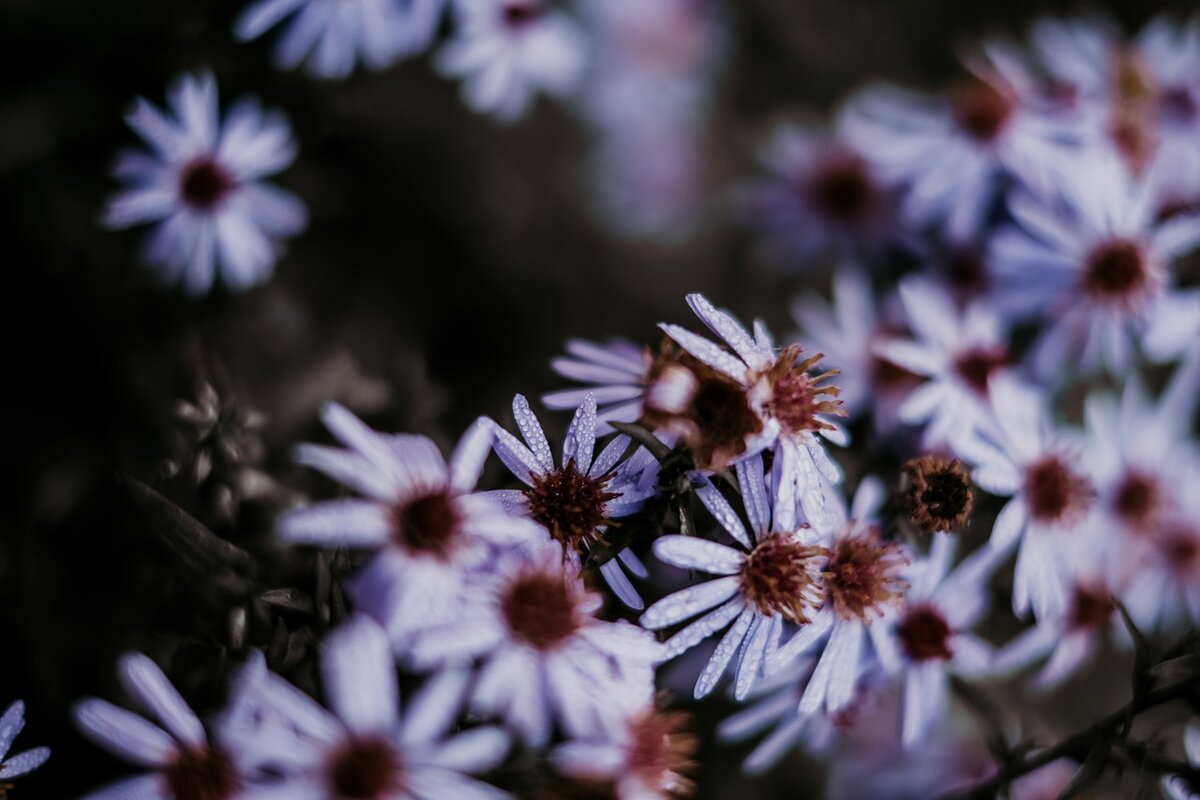 Фото автора Valeriia Miller: Pexels