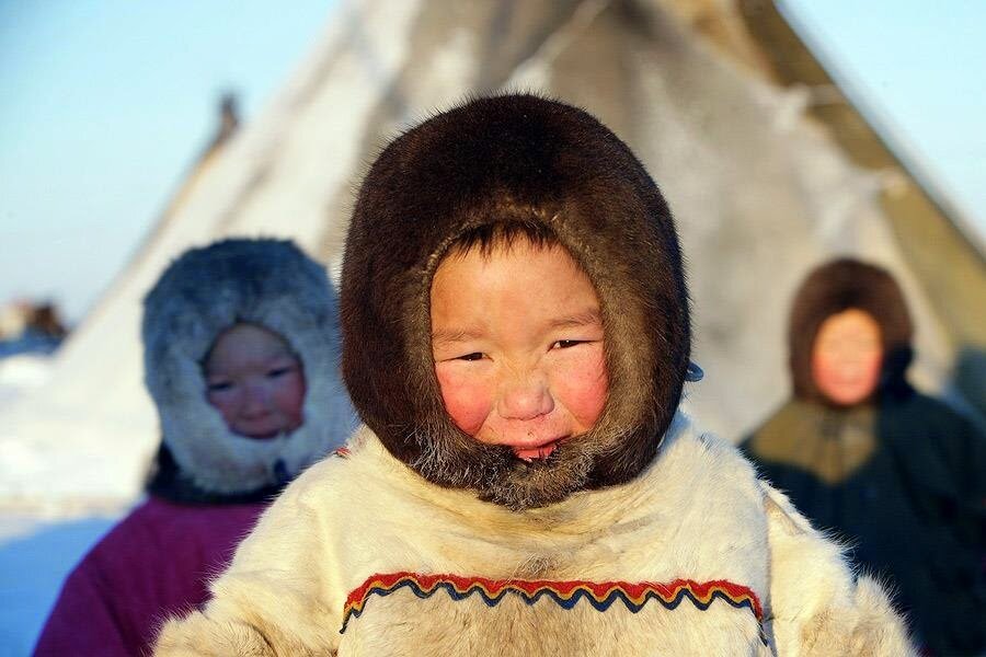 Народы Арктики ненцы