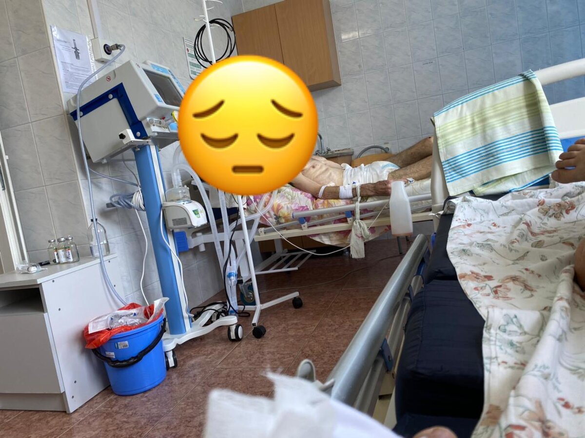 Фото реально и принадлежит автору.