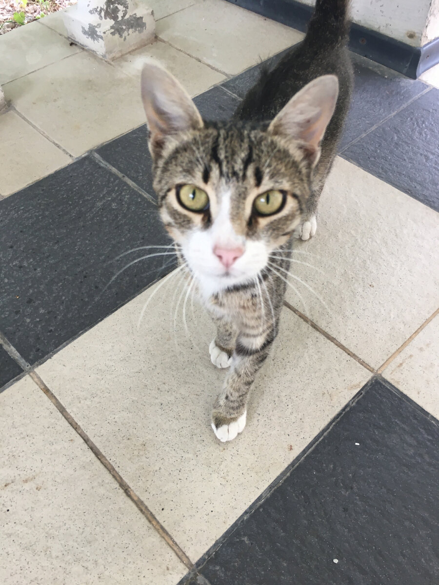 фото из личного архива 