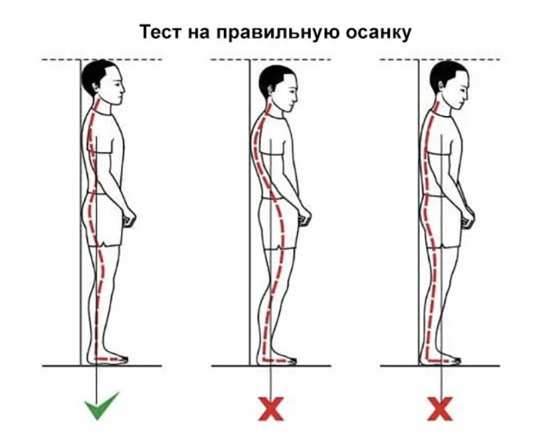 Простой тест на осанку. Норма и отклонения | Vikitrening О фитнесе с  любовью | Дзен