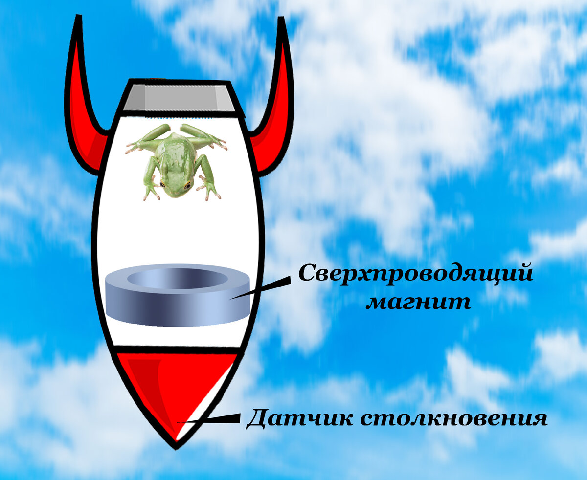 Падение капсулы с диамагнитным объектом (лягушкой)