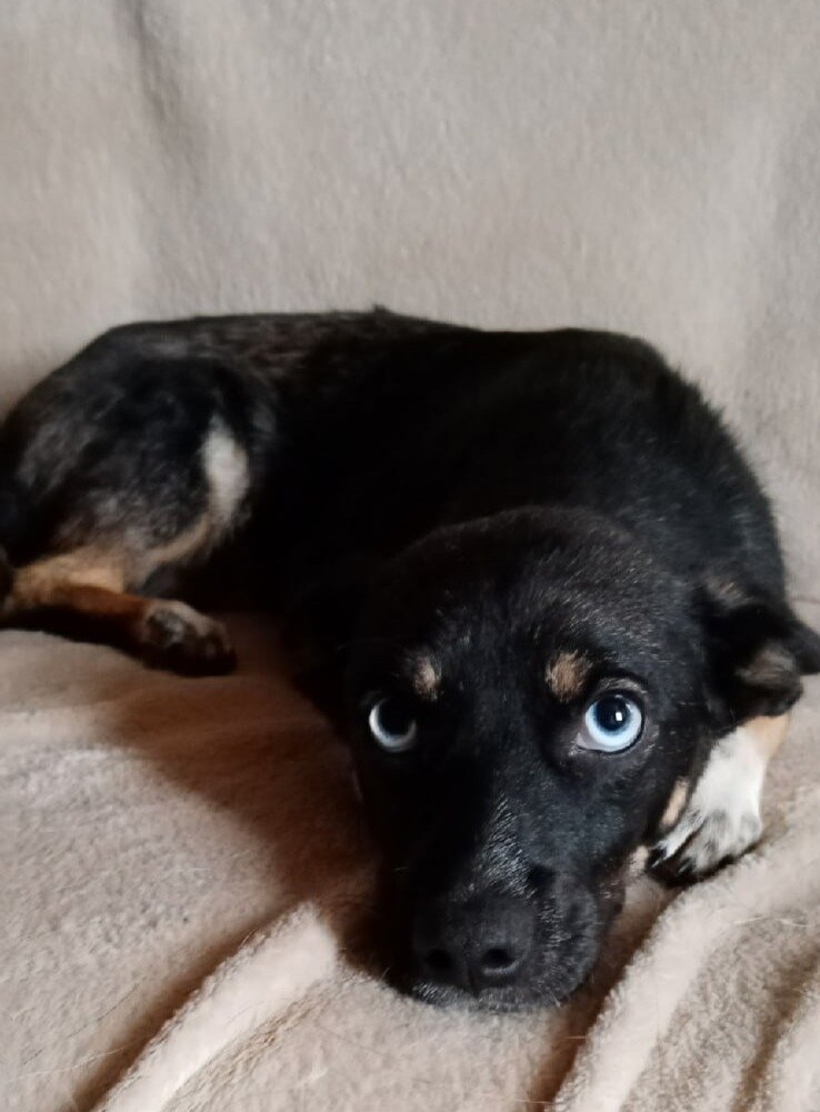 "нежный и ласковый мальчик"