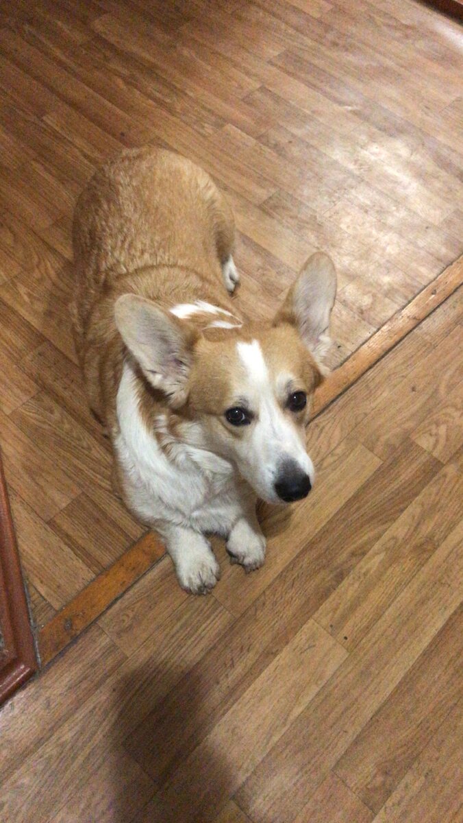 Хантер в ожидании