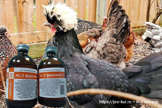 Лекарство для животных асд-2. Асд-2ф антисептик-стимулятор дорогова, фракция 2, 100 мл. Показания к применению асд фракция 2 для человека. Лекарство асд фракция 2 для человека. Лекарство асд для птиц.