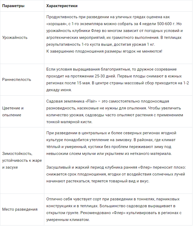 Описание сорта клубники Флер фото и описание. Флер описание сорта