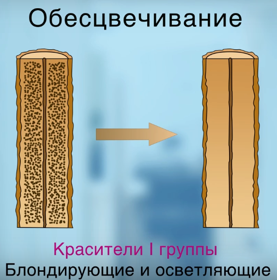 Волос после осветления 