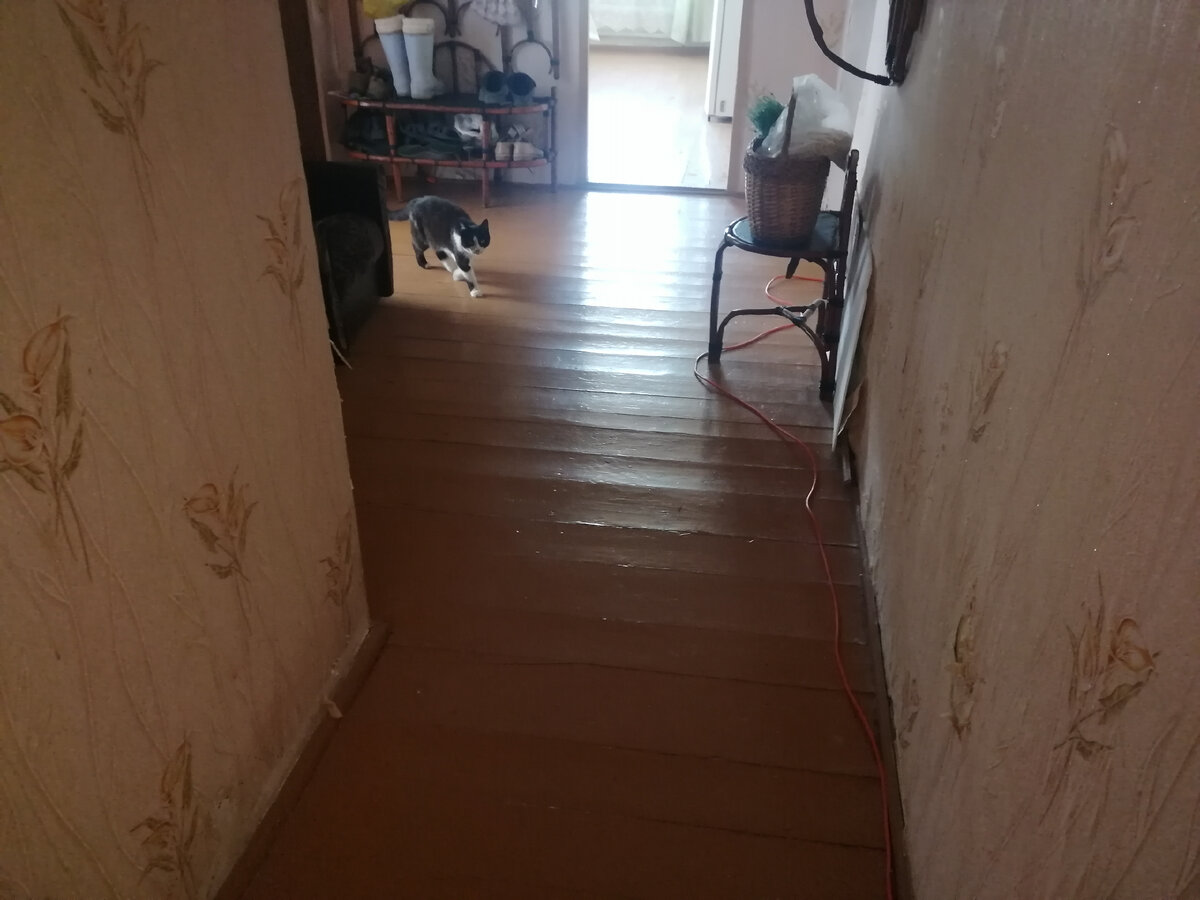 Инспектор идет проверять чистоту полов