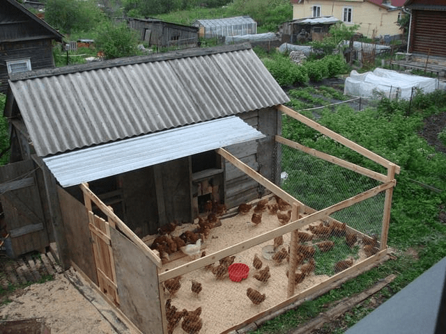 Как построить курятник своими руками - Пошаговая инструкция, фото