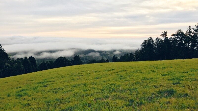 Фото: @wirestock / ru.freepik.com