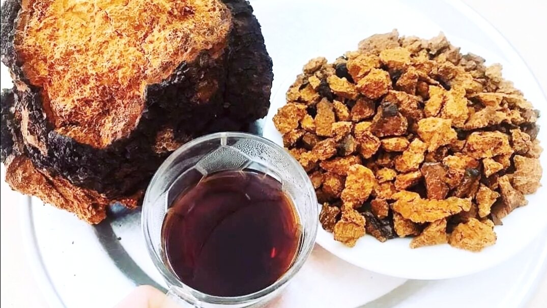 Только чага обязательно должна быть натуральной. Поэтому лучше брать целиком или в кусках, а не молотый