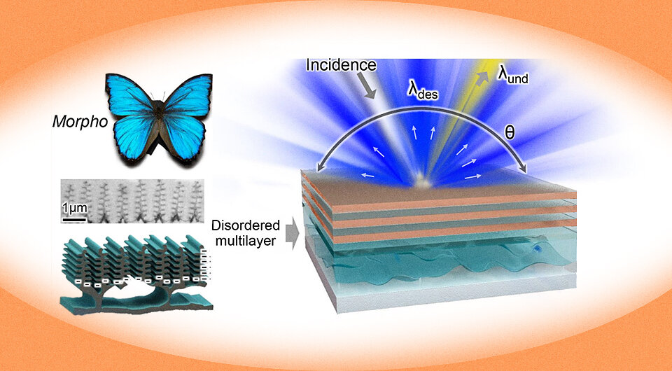     Охлаждающая цветная пленка, созданная по образцу крыла Morpho menelaus Wanlin Wang et al. / Optica, 2023; N + 1