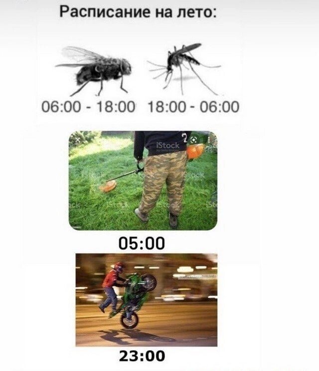 просто весёлая картинка по сезону ))