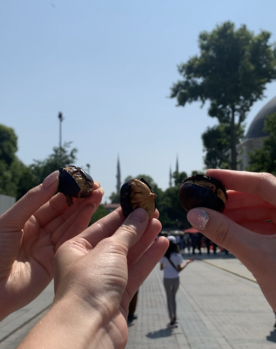 Это конечно не полноценная еда, но попробовать обязательно стоит. Какие на вкус каштаны? - мнение у нас разделилось, похожи на горох, или кукурузу… Купить можно на главных улицах Стамбула, возле достопримечательностей, в общем везде их продают.